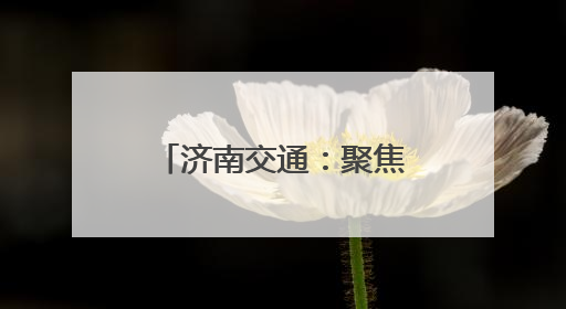 济南交通：聚焦“交通+”三大维度 以创新融合驱动高质量发展